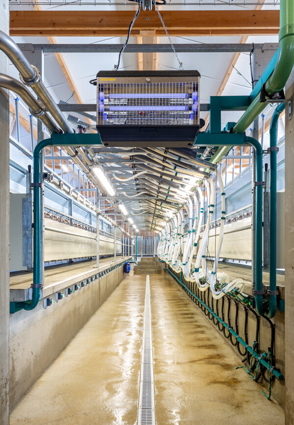 Chèvrerie – Salle de traite – Mouterre Silly – Architecte : Jean-René Coupeau Chèvrerie – Salle de traite – Mouterre Silly – Architecte : Jean-René Coupeau